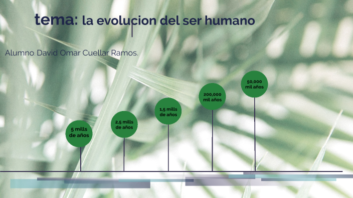 linea de tiempo by David Cuellar on Prezi