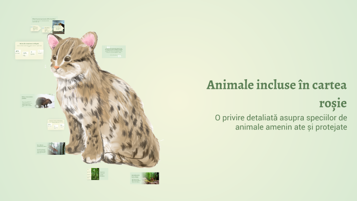 Animale incluse în cartea roșie by vic carp on Prezi