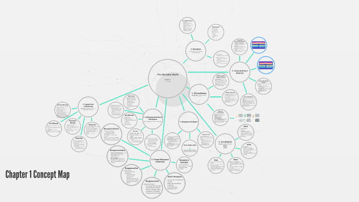 Chapter 1 Concept Map by Sara Jackson on Prezi