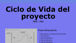 Unidad 2-Ciclo de vida del proyecto by Diego Perez on Prezi Design