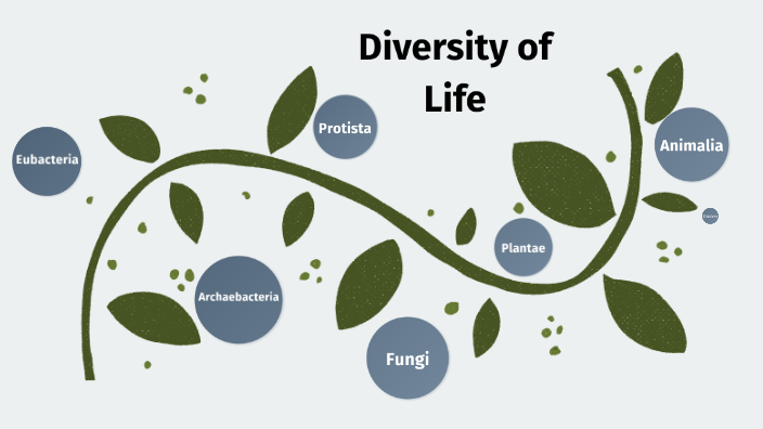 Diversity of Life by Amelia Poulton on Prezi