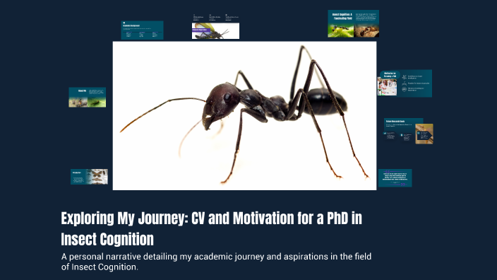 Exploring My Journey: CV and Motivation for a PhD in Insect Cognition ...