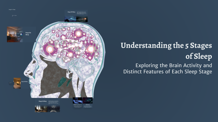 Understanding the 5 Stages of Sleep by Chris Parrish on Prezi