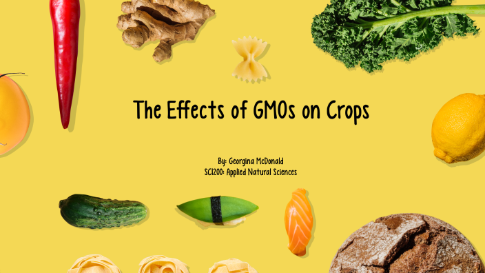 GMOs effects on crops by Georgina McDonald on Prezi Biology Diagrams