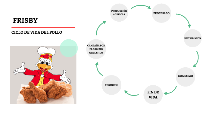 Ciclo de vida - pollo Frisby by Natalia Buritica