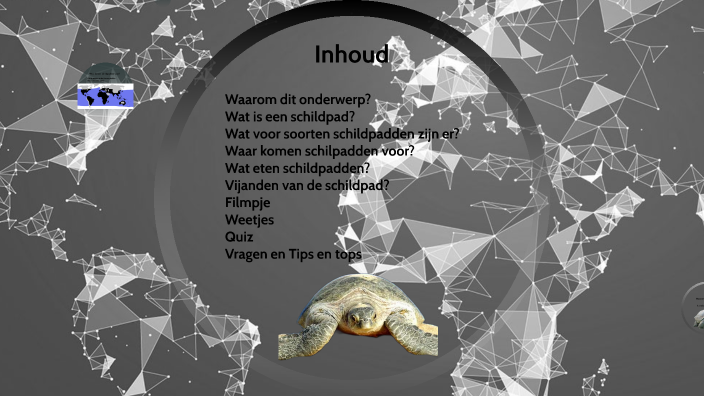 Mijn spreekbeurt gaat over schildpadden by Merel Van Den Berg on Prezi