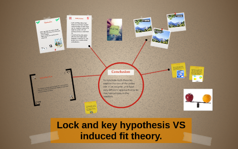 Lock and Key vs Induced Fit by Shannon Dean on Prezi