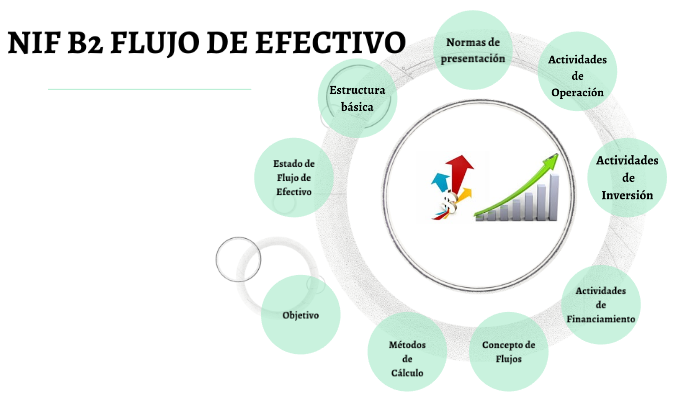 Nif B-2 Flujo De Efectivo By Marisol Carrizales Flores On Prezi