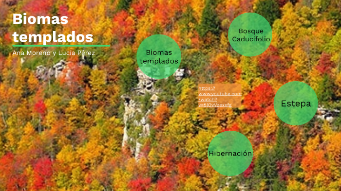 Biomas by Lucía Pérez Fernández on Prezi