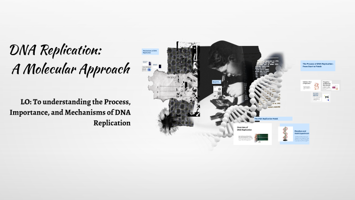 DNA Replication by Arwa Malik on Prezi
