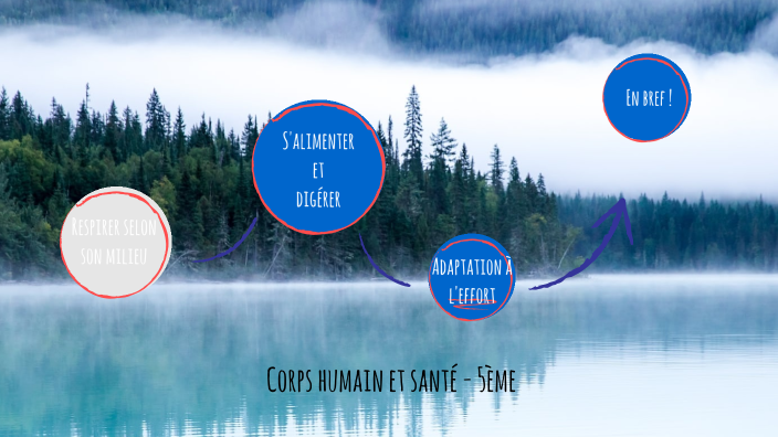 SVT 5ème Corps Humain et Santé by loane yangba on Prezi