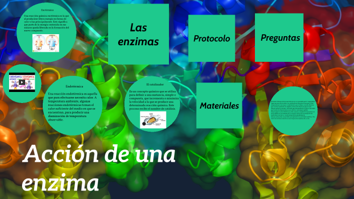 Acción De Una Enzima By Marlly Ballesteros On Prezi Next