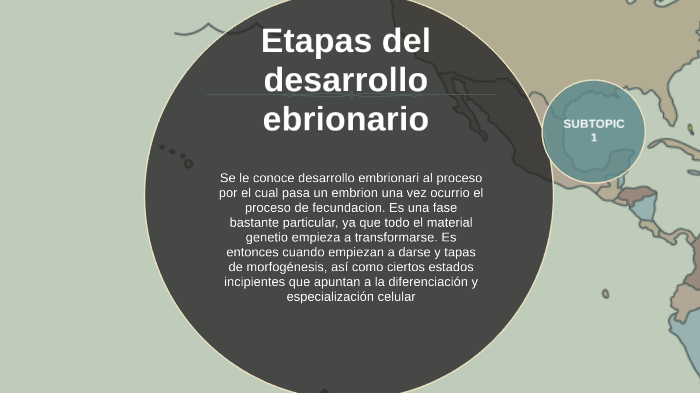 ETAPAS DEL DESARROLLO EMBRIONARIO Y ORGANOGENESIS By Andres Brito ...