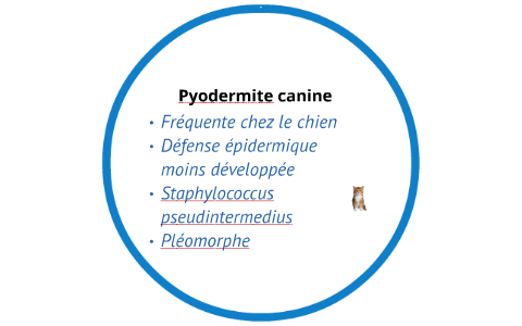 Cesar Y Manon By Manon Paradis On Prezi Next