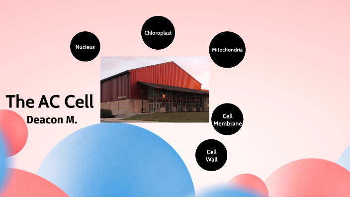 AC Cell Analogy by Deacon Morey on Prezi