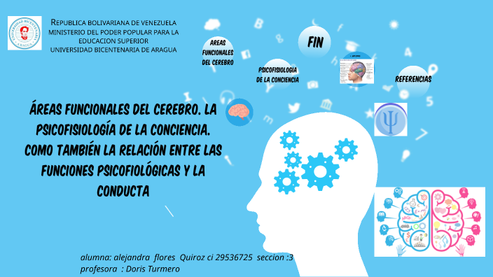 áreas funcionales del cerebro. junto la psicofisiología de la ...