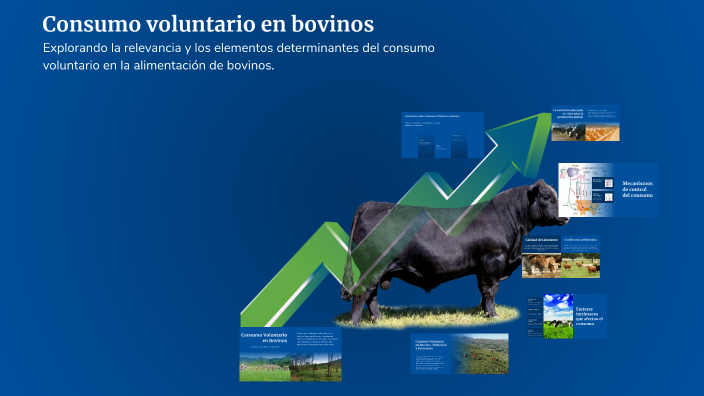 Consumo voluntario en bovinos by RICARDO ELÍAS MAURICIO CHAMORRO on Prezi
