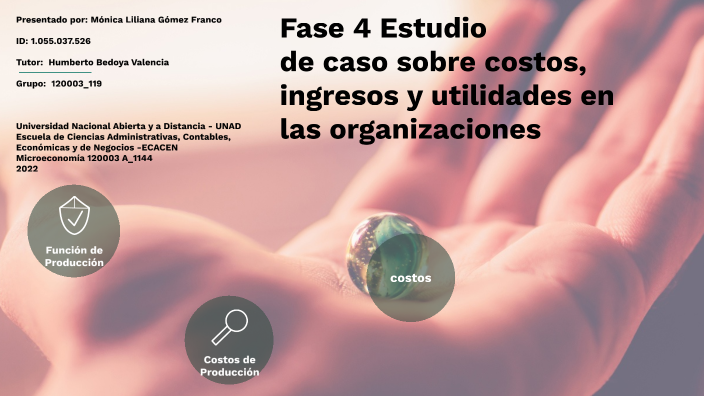 Fase 4 Estudio de caso sobre costos, ingresos y utilidades en las ...