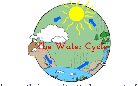 The 4 Stages of the Water Cycle by Forrest Sturgis on Prezi