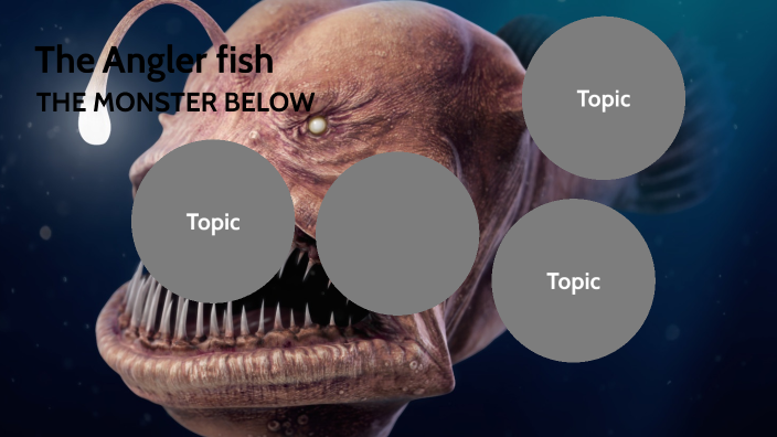 The Angler fish by Lawson Hutchins on Prezi