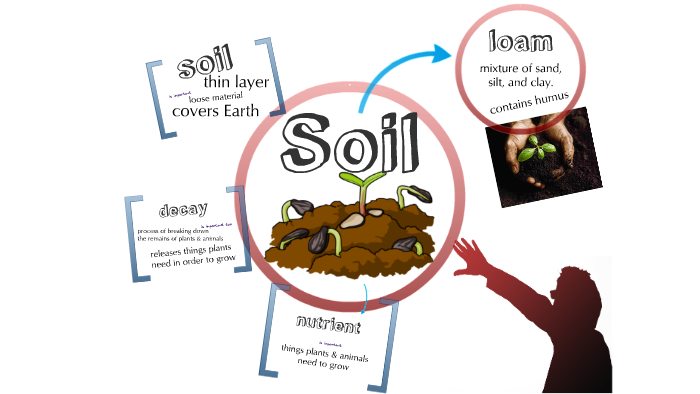 soil-vocabulary-words-by-cathie-wood