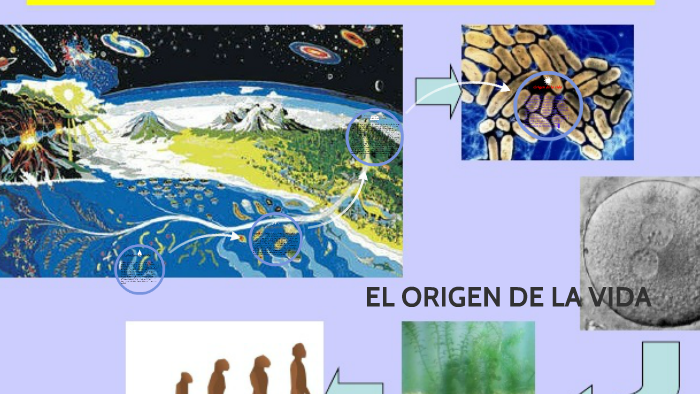 EL ORIGEN DE LA VIDA by Elmer Nuñez on Prezi