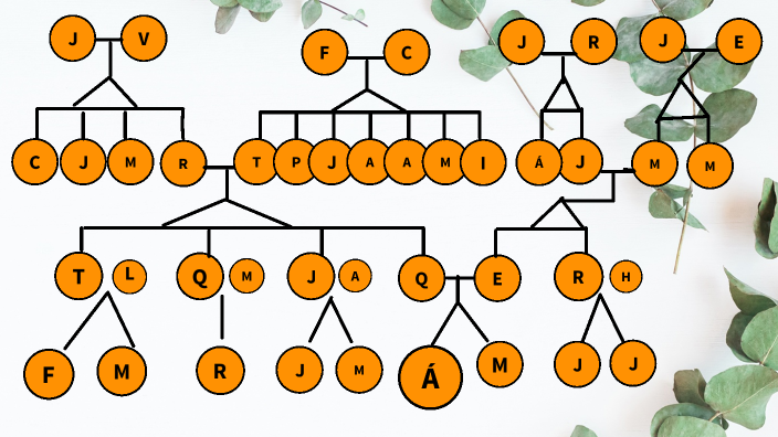 My family tree by María Martin Benítez on Prezi