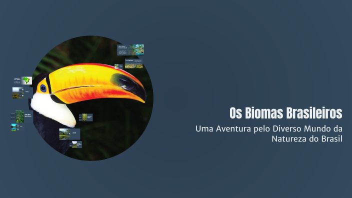Os Biomas Brasileiros by laura bucheb on Prezi