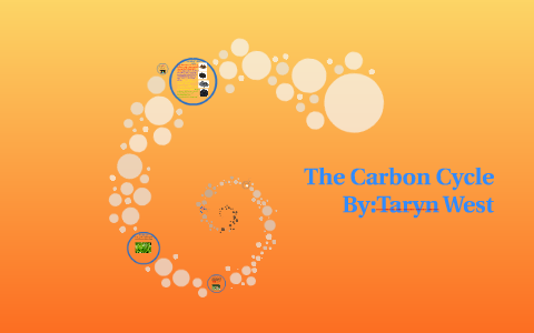 The Carbon Cycle by Taryn West on Prezi