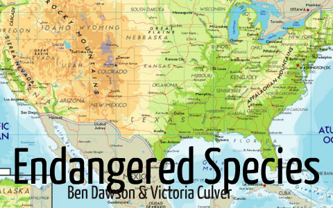 Endangered Species by Victoria C. on Prezi