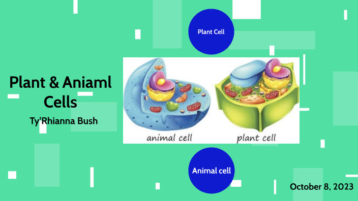 Plant and Animal Cell by Ty'Rhianna Bush on Prezi