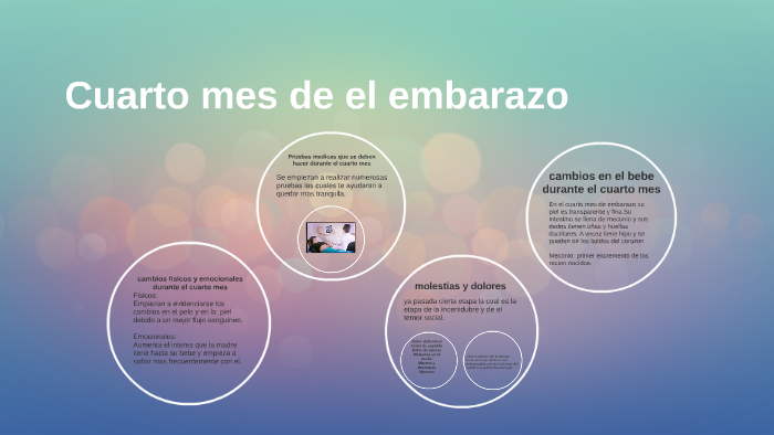 cuarto mes de embarazo by laura moreno on Prezi