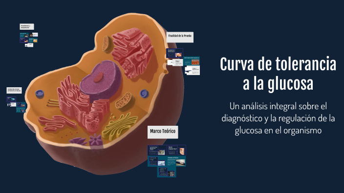 Curva de tolerancia a la glucosa by Samuel Alejandro Barrido Soto on Prezi