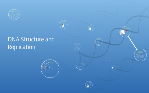 DNA Structure and Replication by Jong Yong Park on Prezi