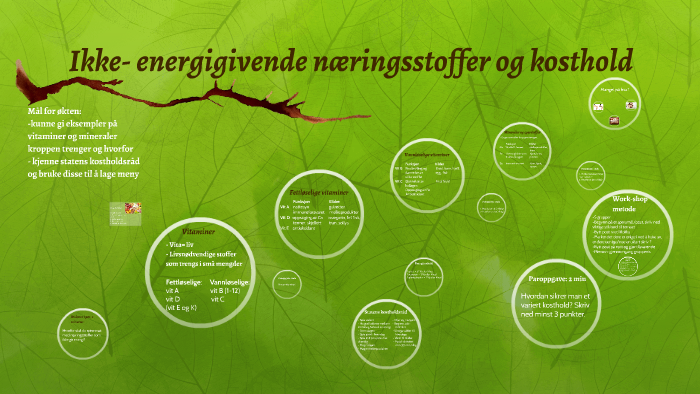 Ikke- energigvende næringsstoffer by Helene Anfinsen Strindberg on Prezi