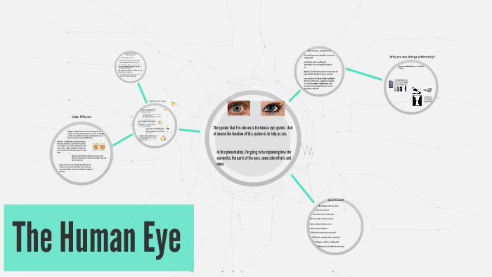 The Human Eye by Kajal Gupta on Prezi