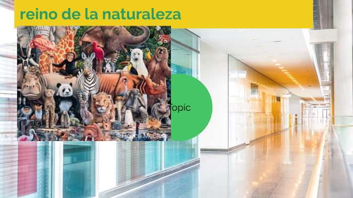 reino de la naturaleza by Delio Gutierrez on Prezi
