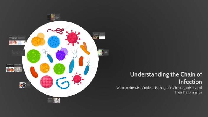 Understanding the Chain of Infection by Jaylene Ruiz on Prezi