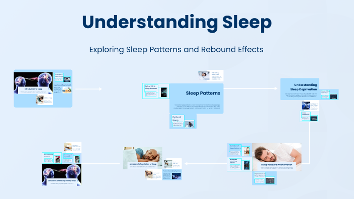 Understanding Sleep by Sara Salazar on Prezi