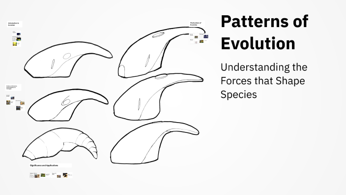 Evolution Repeated Pattern Patterns of Evolution by 雨良 高 on Prezi