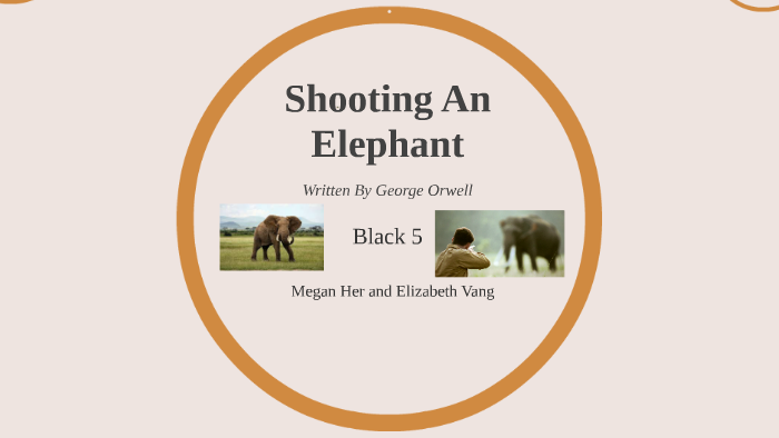 thesis of shooting an elephant