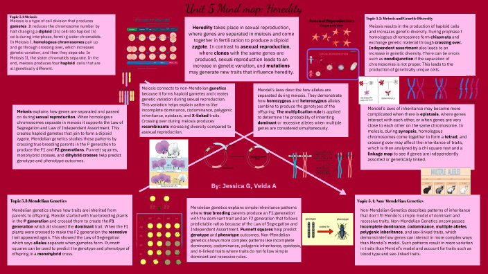 Veida A, Jessica G - Unit 5 Mind map: Heredity by Jessica Gallegos on Prezi