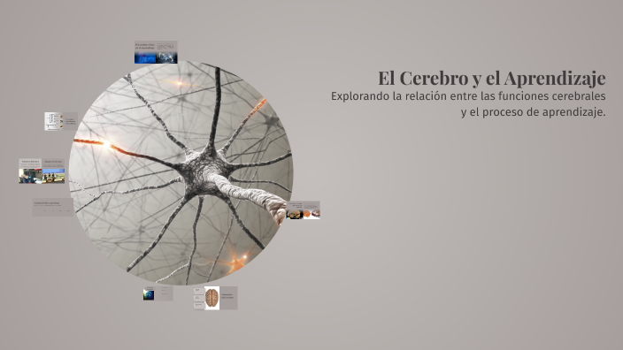 El Cerebro y el Aprendizaje by javier parra on Prezi