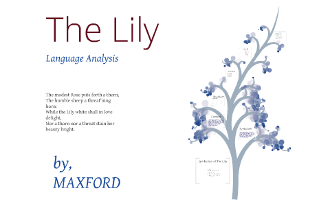 Language Analysis: The Lily by Max Evans on Prezi