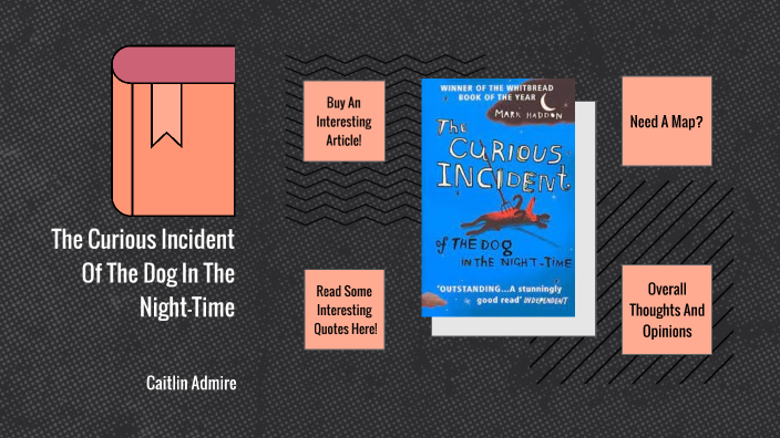 The Curious Incident of the Dog in the Night-Time : Caitlin Admire by