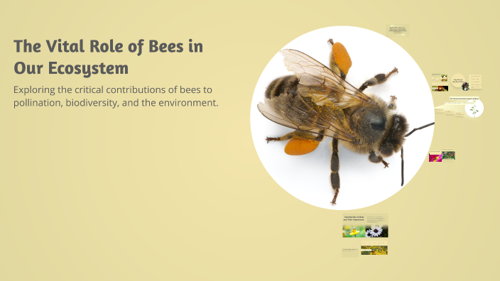 The Vital Role of Bees in Our Ecosystem by Onyekachi Orah on Prezi