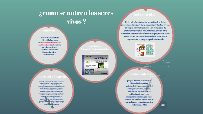 como se nutren los seres vivos by sara vasquez on Prezi