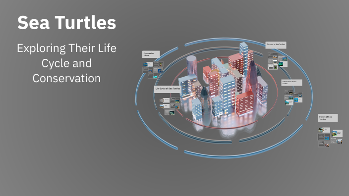 Sea Turtles by Aisha Tromp on Prezi