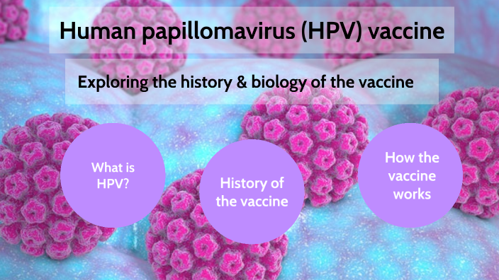 Human Papillomavirus Hpv Vaccine By Bailey Gadbury On Prezi