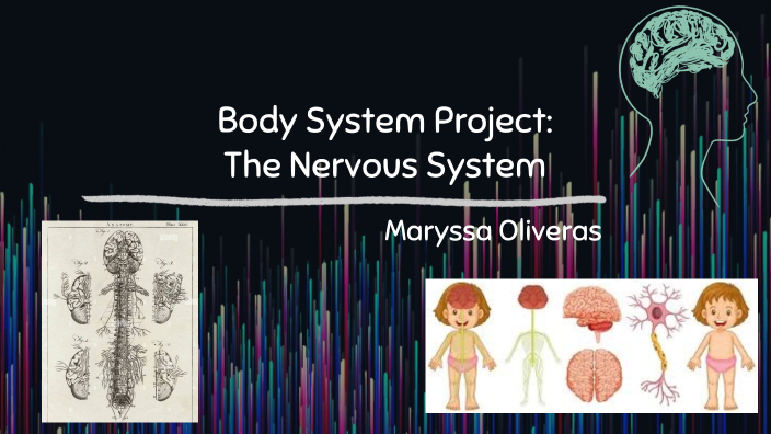 Understanding the Nervous System by Ryssa Oliveras on Prezi